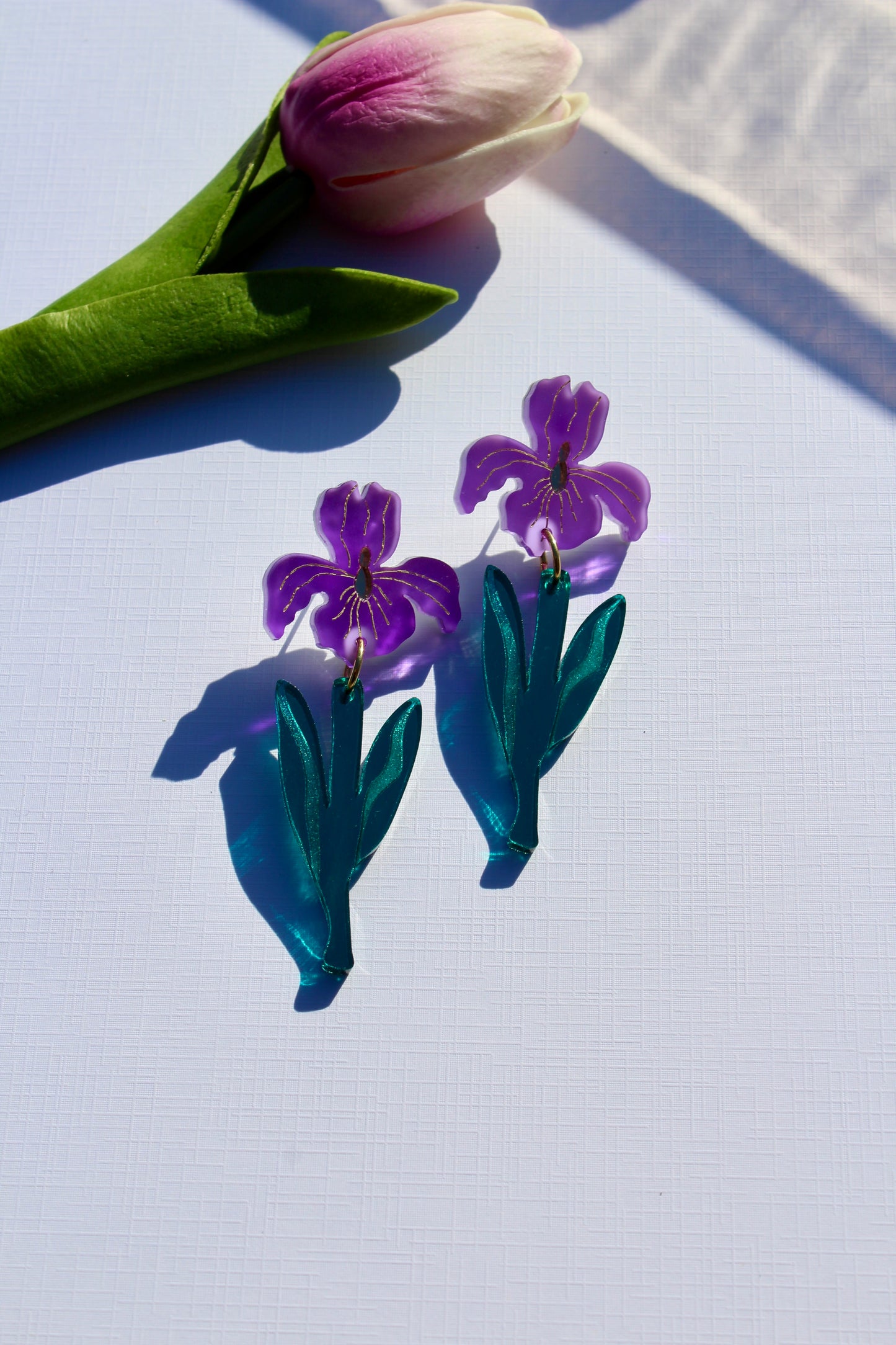 Iris