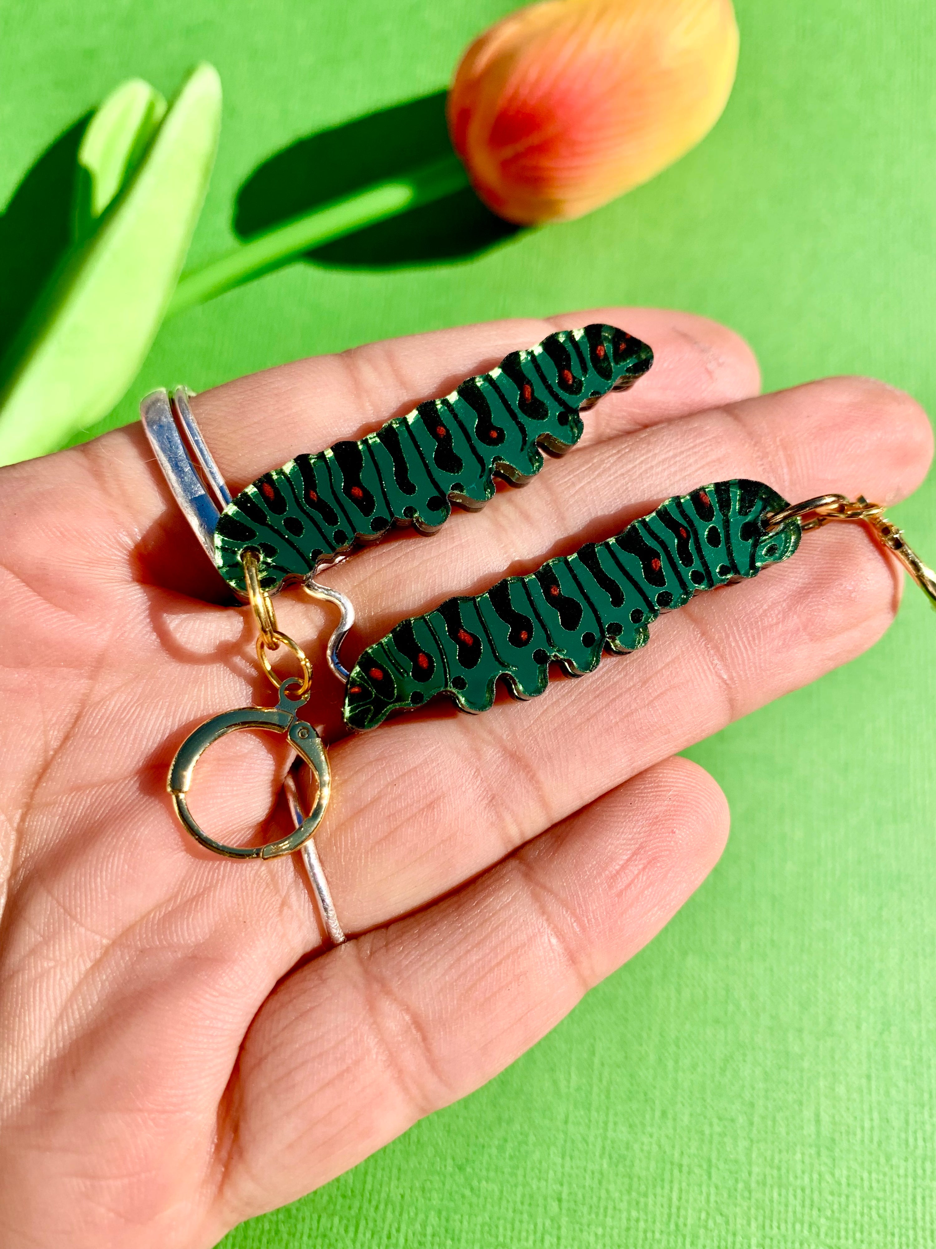 Caterpillars 🐛