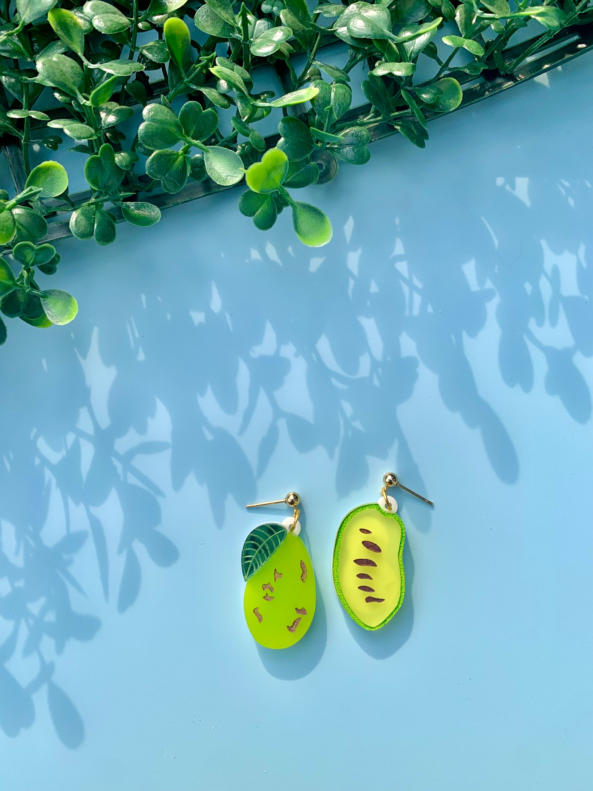 Pawpaws