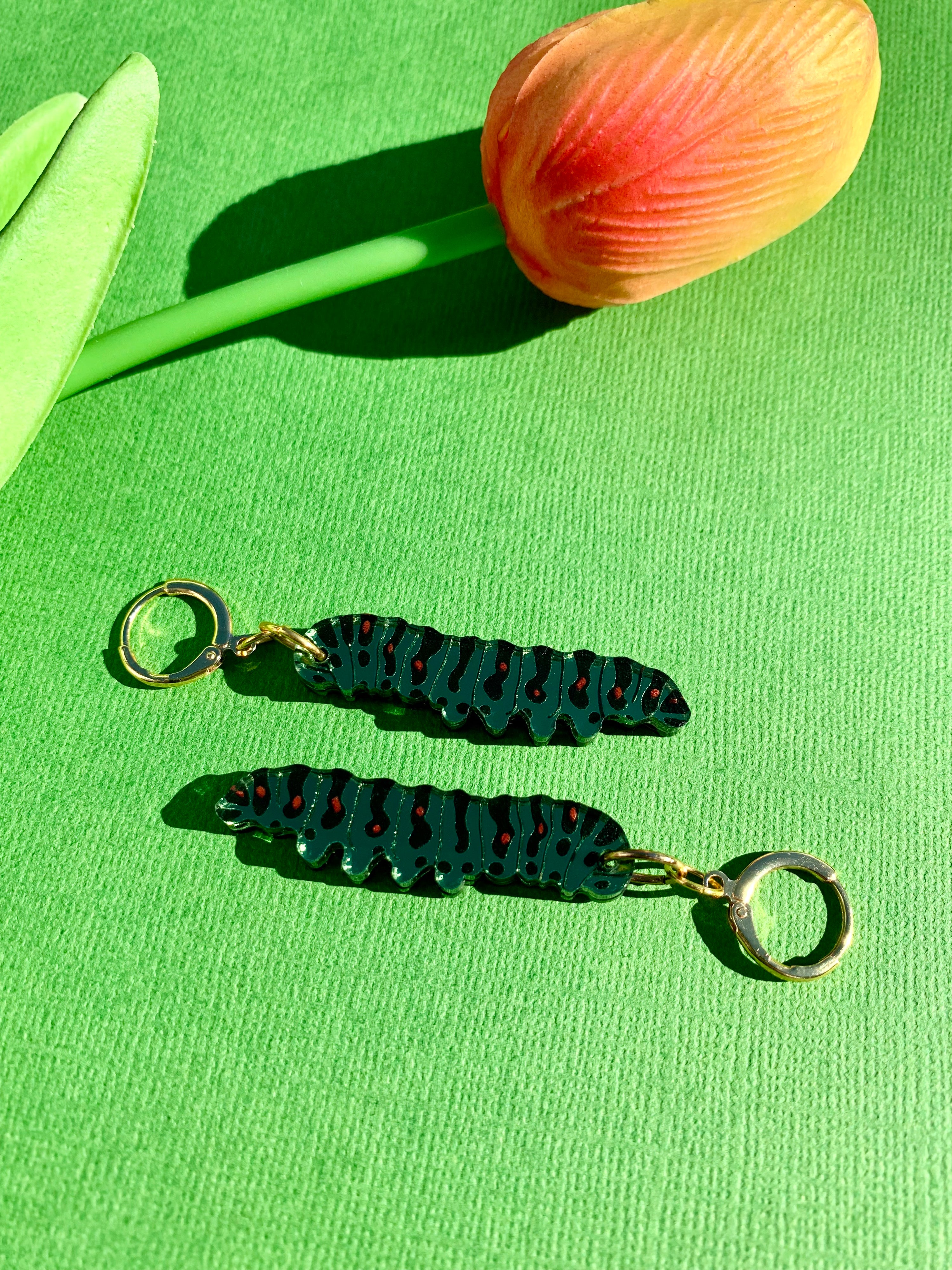 Caterpillars 🐛