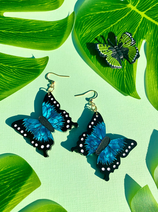 Blue Morpho Butterflies