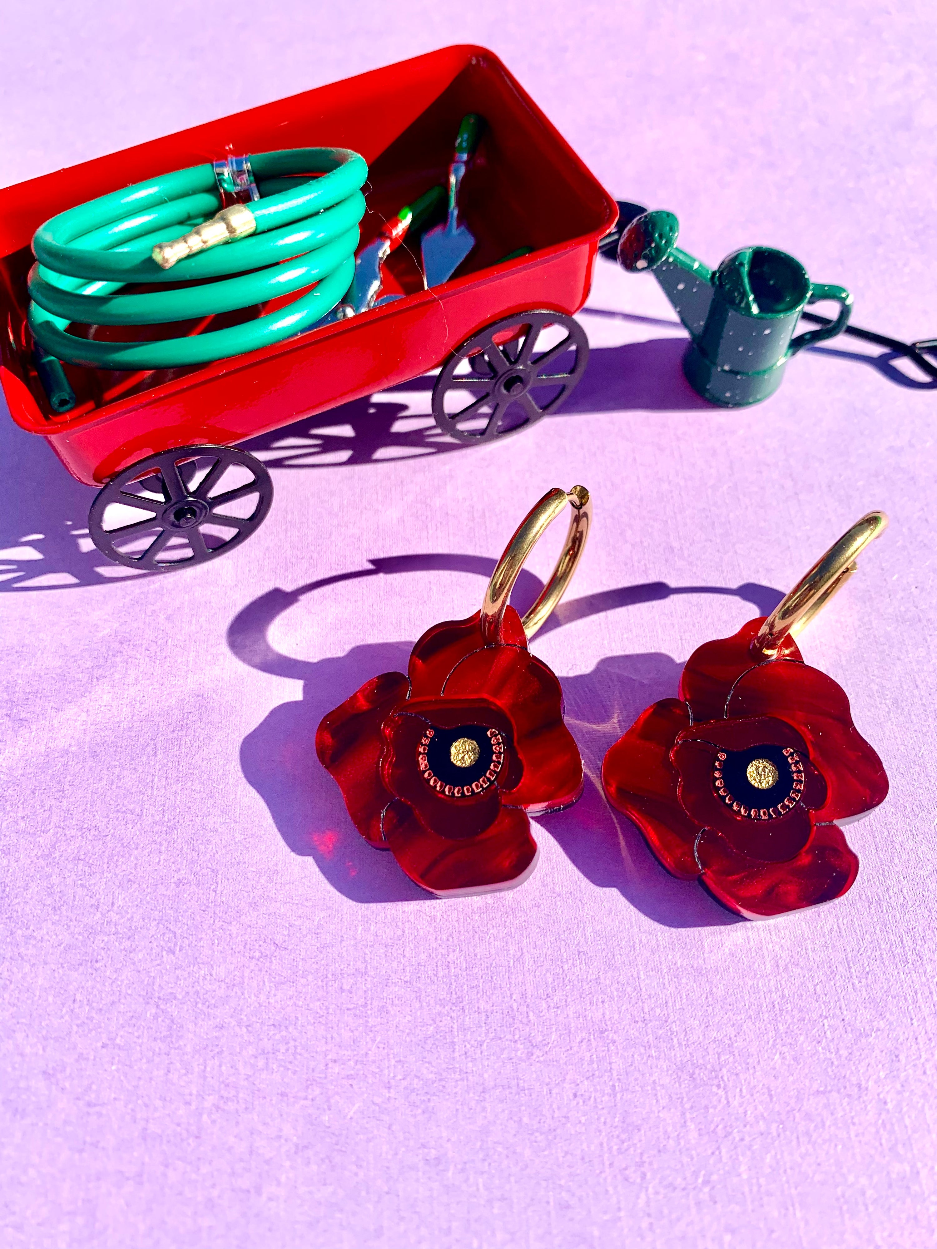 Poppy Flowers