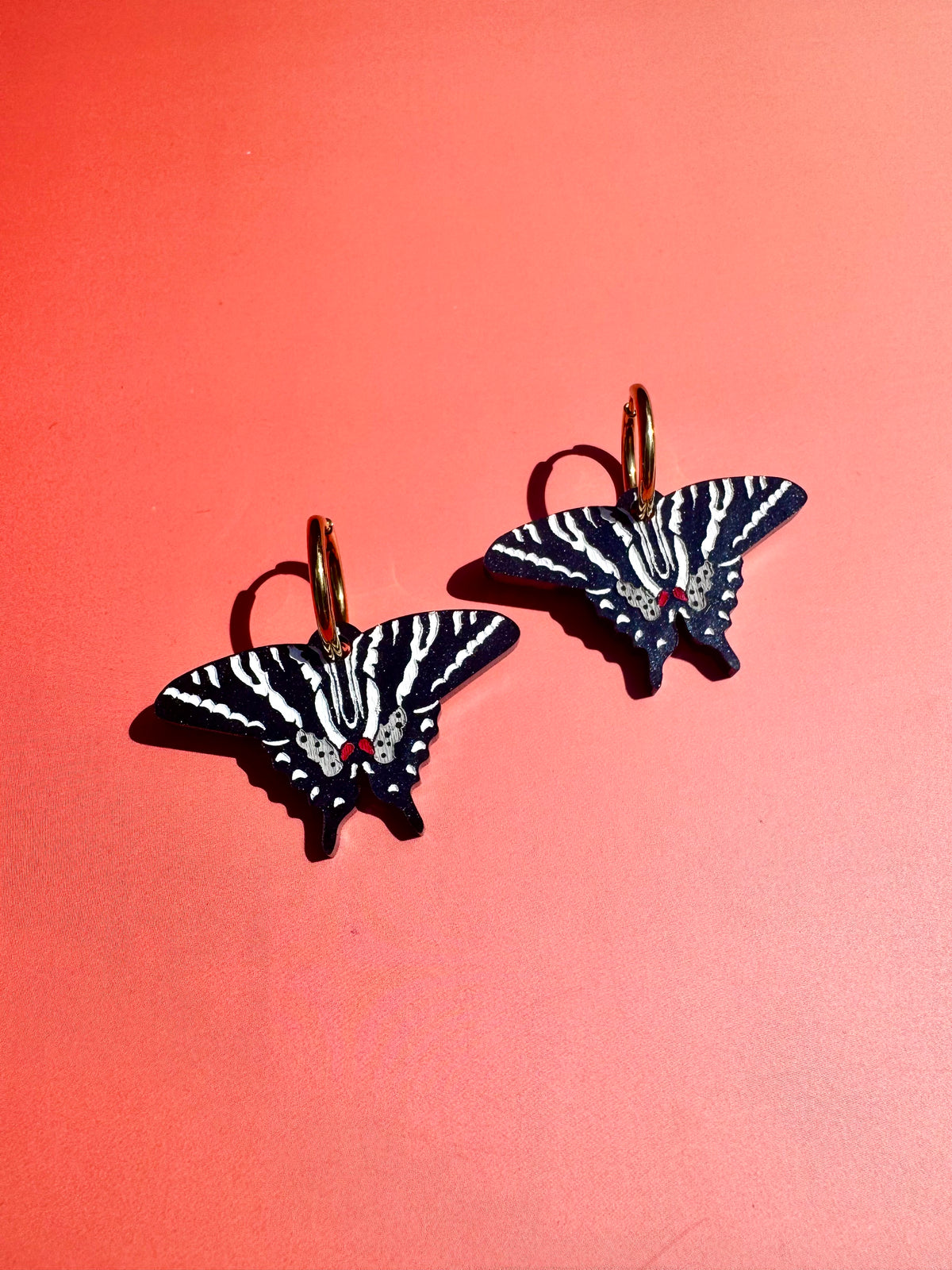 Zebra Swallowtail