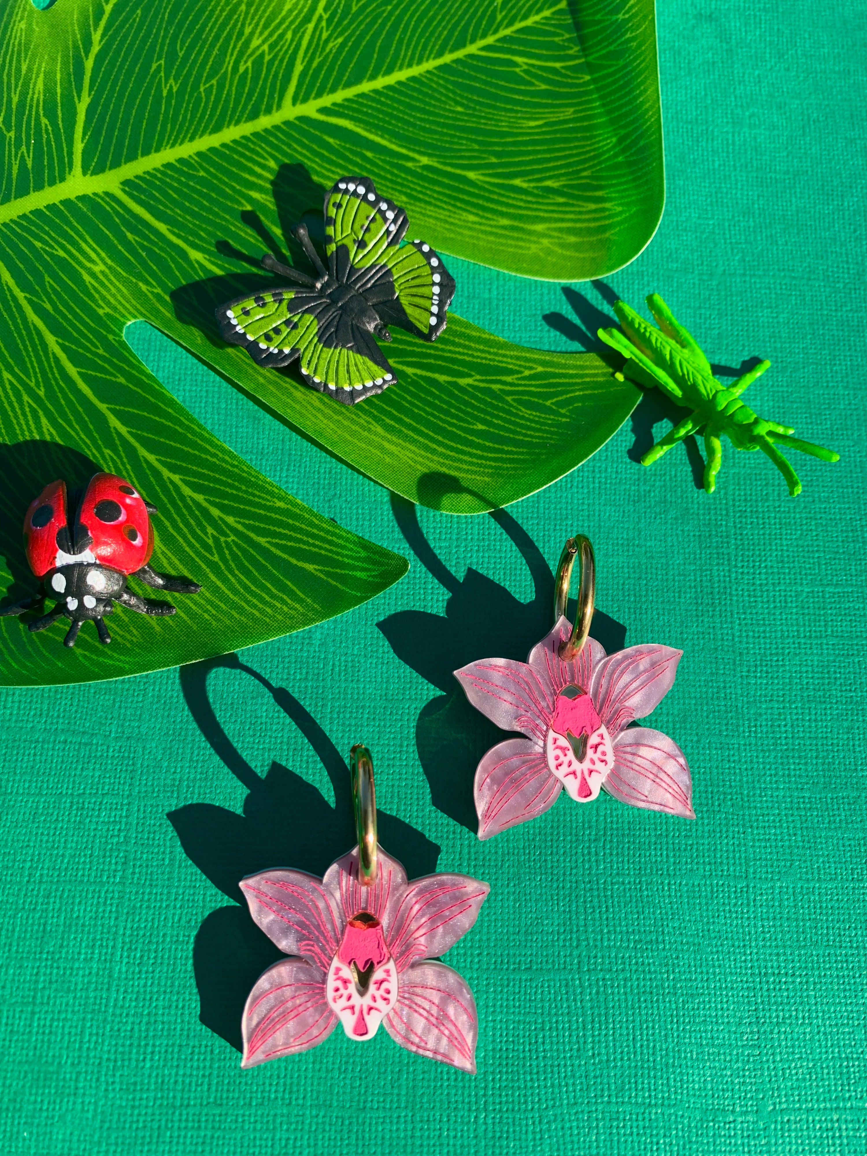 Orchids