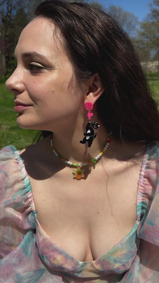 You’ve Got to be Kitten Me!